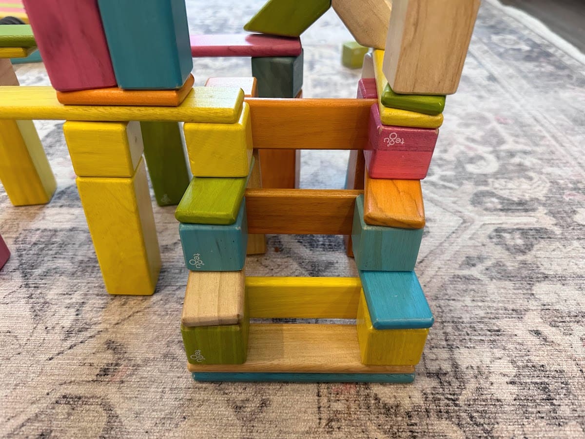 Tegu outlet blocks age